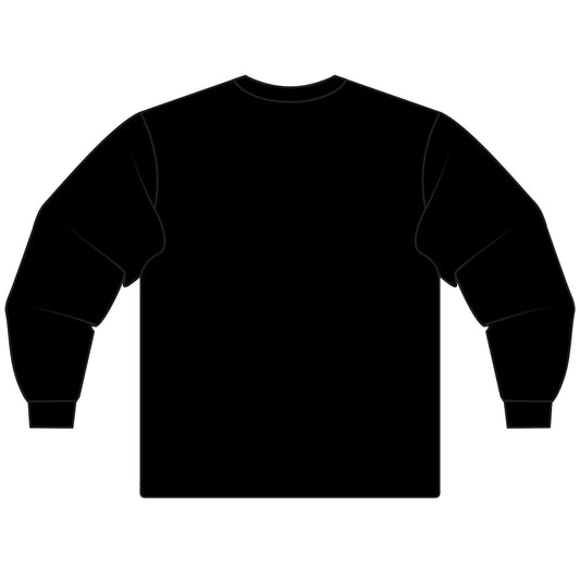 A Haunting in High Falls Long Sleeved T-Shirt, Rochester NY Halloween Shirt
